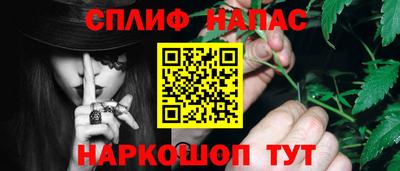 PSILOCYBIN Вышний Волочёк