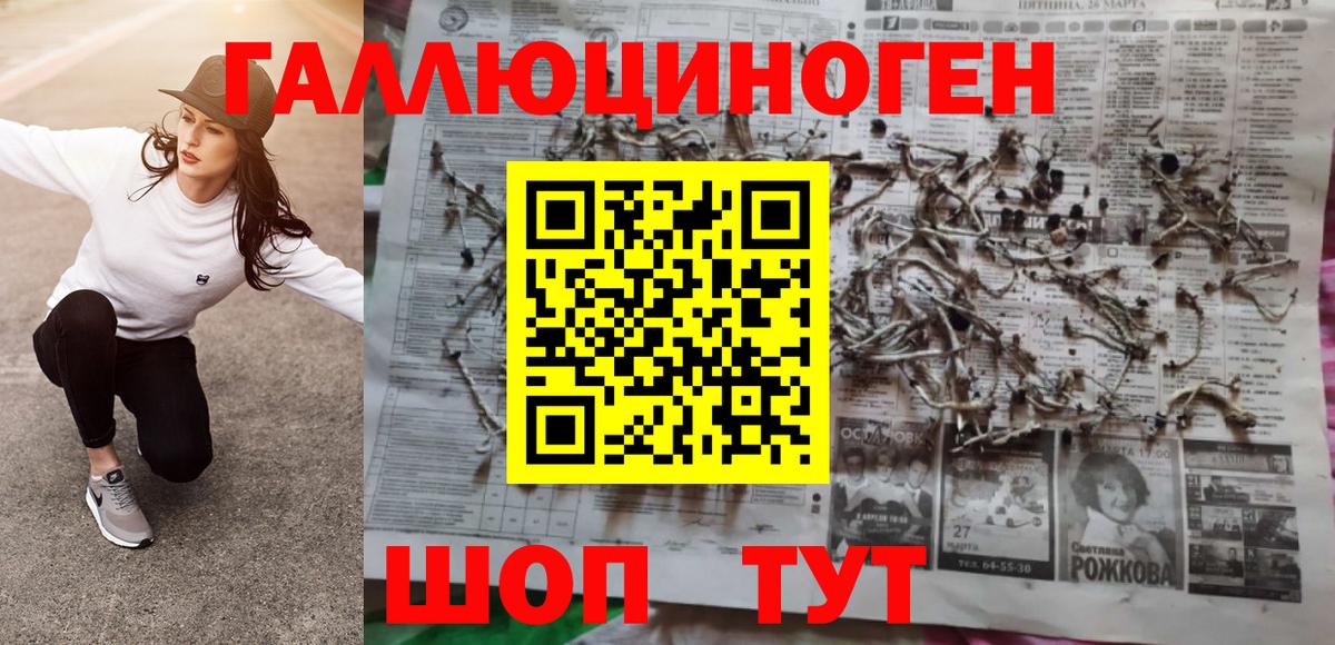 Владивосток  Псилоцибиновые грибы Magic Shrooms  Вход с VPN 